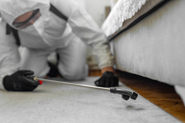 Professional Pest Control technician working in Yuma County County, AZ